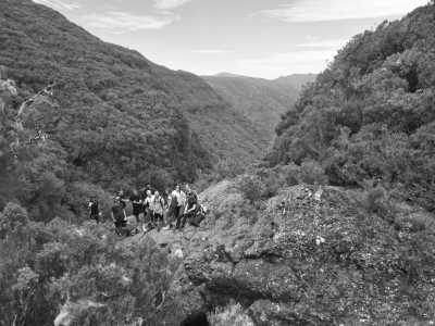 Portugal - Madeira Islands - Shared (same gender) Room: 2,3 or 4 Wochen CoLiving & CoWorking im Paradies Madeira: Workspace mit Highspeed Internet