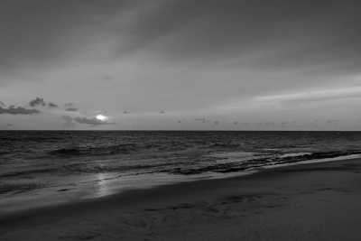 Sri Lanka - Negombo - 🌟 Magical Sri Lanka: From Ancient kingdoms to Dream Beaches 🐘🏞️🌺⛱️ - 2