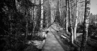 Deutschland - Wildseemoor - Step into the Flow | Hohenzollern Castle | Sankenbach Lake & Falls | Black Forest | 3 days - 6