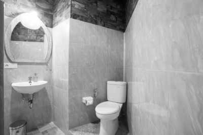 Indonesia - Ubud - Exploring the Beauty of the Bali Island in 5 days - 4