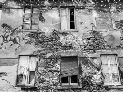 Portugal - Funchal - Madeira Magic - Explore the Island with a Local - 1