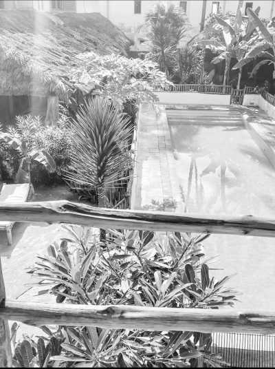 Tansania - Villa Nakupenda - Holiday with the kids in Zanzibar! Beach 🏝️ Snorkelling 🤿 and Forest Tour! 🌳 - 12