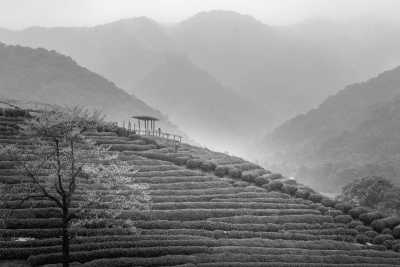 Eastern Asia - Hangzhou - China Explorer: From the 🏯 Great Wall to 🌆 Hong Kong’s Skyline - 3