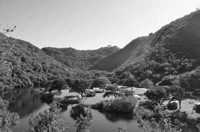 South Africa - Wilderness - Cape Town and the Garden Route 🇿🇦 Explore South Africa with a Local - 3