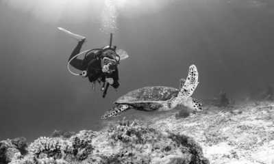 Indien - Lakshadweep - Lakshadweep Islands, India - An adventurous intro to the sea! - 7