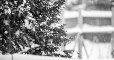 Vereinigte Staaten - Cleveland - Roadtrip USA #1 — das Datum für den Trip ist noch nicht festgelegt. Es ist nur 2024, damit der Trip online bleibt. Sobald ich mehr weiß erscheint ein neues Datum