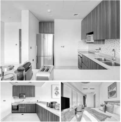 United Arab Emirates - Dubai - Exploring the pure lifestyle in Dubai 🇦🇪 - 14