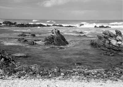 Südafrika - Kap Agulhas - Southern most Point of Africa, Cape Town 🐧 Penguins, Whales and more ❗