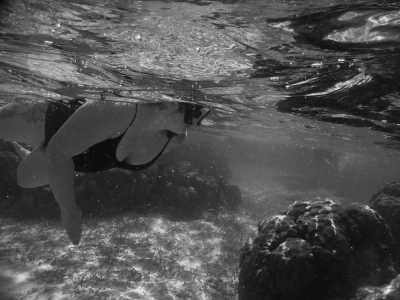 Belize - Barrier Reef - Experience Belize Like a Local: Authentic Travel Adventures Await - 1