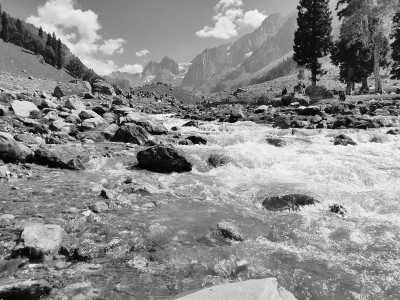  - Sonamarg - A Vibrant Journey Through "India" Kashmir's Floral Wonderland - 3