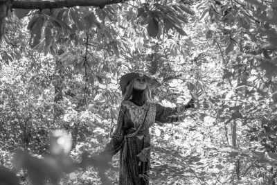 Dänemark - Den Gamle By - Easter in Denmark: Discover Aarhus, a city of icebergs, rainbows and New Nordic cuisine - 2