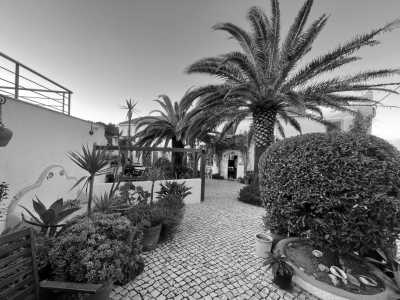 Portugal - Carrapateira - Fishermen's Trail - Die schönste Küstenwanderung in Portugal - 2