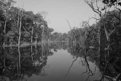 Nepal - Sauraha - Enchanting Nepal: Trekking, Tea Houses & Cultural Escapes