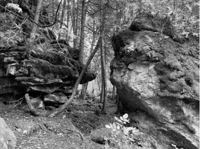 Canada - Hope Bay - 🌲 Hiking Escape to the BRUCE PENINSULA: Explore Georgian Bay & the Bruce Trail in Ontario - 2