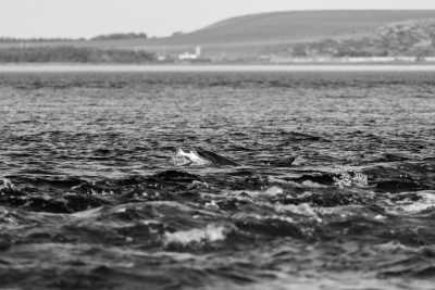 United Kingdom - Durness - Scotland's North Coast 500:Exploring Wild Scotland! Waterfalls, Mountains, Beach Campfires and MORE