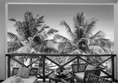 Tanzania - Zanzibar Island - Ultimate Serengeti to Zanzibar Trip: Explore the Best of Tanzania - 3