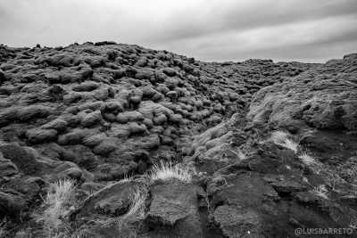 Iceland - Fjaðrárgljúfur - Photography Expedition of the Northern Lights in Iceland - 3