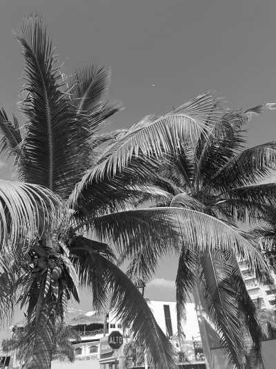 Mexico - Cancún - Yucatan Fiesta Adventure with Cookie - 1