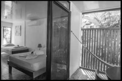 Costa Rica - Puerto Viejo de Talamanca - Work and Live in Costa Rica's Wonderful South Caribbean Side! - 15