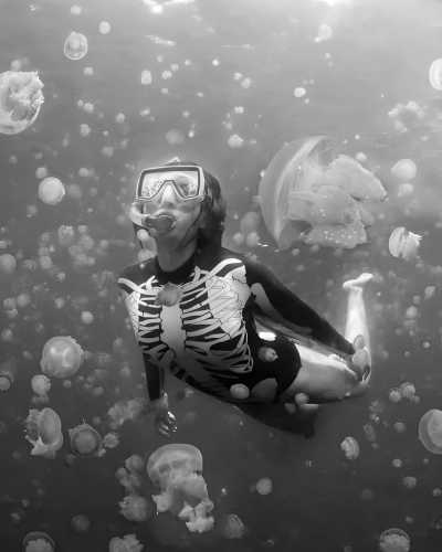 Indonesia - Maratua Island - Swimming with Whaleshark, stingless JellyFish, MantaRay at Derawan Islands, East Kalimantan, Indonesia - 1