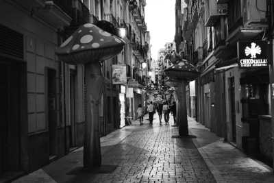 Spain - Alicante - Alicante, Spain: 1 week cultural and water sport holidays - Shared bedroom - 2