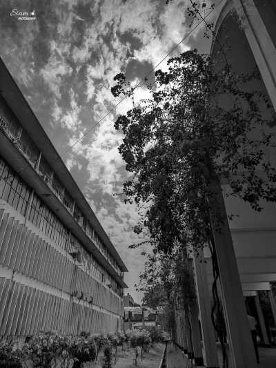 Bangladesh - Bangladesh Agricultural University (BAU) - Explore the Crocodile Farm and Silver Castle Resort in Mymensingh, Bangladesh