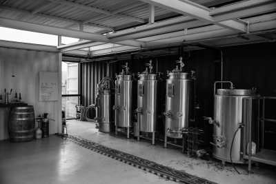 Mexico - Tequisquiapan - A Gastronomic  Journey Through the State of Queretaro in Central Mexico - 12