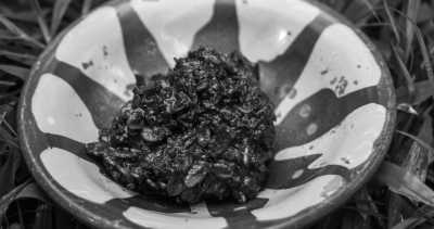 Costa Rica - La Gamba centro - Coworking or Volunteering from/in Costa Rica - 19