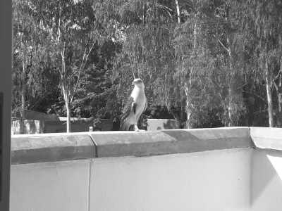 Colombia - Coveñas - Experience the Paradise of Colombia's Caribbean Coast on a Remarkable 30-Day Working Trip: Tolú, Playa El Francés, Coveñas, Isla Palma, Ciénaga la Caimanera and Cistapá Cay - 9