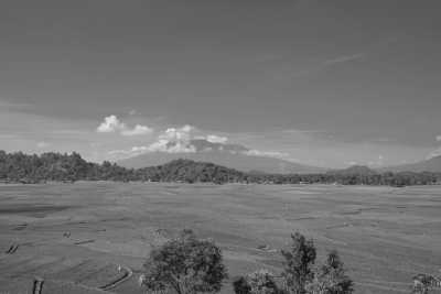 Indonesia - Bukittinggi - Hiking to Marapi Volcano and stay at a lake inside a volcano, West Sumatra, Indonesia - 3