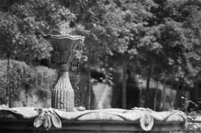 Portugal - Pedras Salgadas - Explore the hidden wonders of the north of Portugal with a local - 8