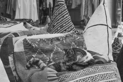 Morocco - Marrakesh - Morocco CoLiving Trip 🇲🇦 Remote work from Marrakesh