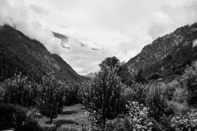 Indien - Kasol - Understanding Culture and Living with Locals of Himachal Pradesh, India