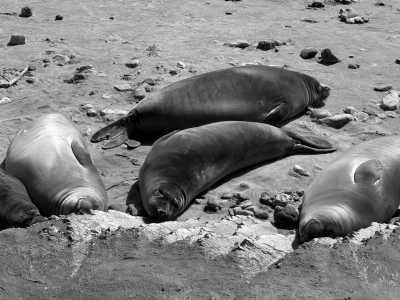 Vereinigte Staaten - Santa Cruz - The Ultimate Northern California Coast  and San Francisco Trip - 2