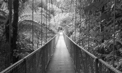 Costa Rica - Monteverde Cloud Forest Biological Preserve - Majestic Adventures in Costa Rica: Beaches, Volcanoes, Hot Springs, Cloud Forest, and Pura Vida Lifestyle! - 1