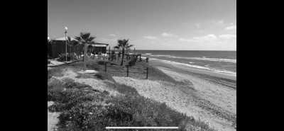 Spanien - Flughafen Málaga - Costa del Sol (AGP) - Andalusien Sonne pur - 4