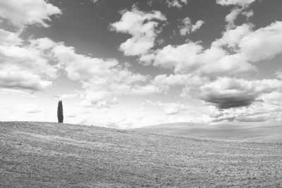 Italien - Val d'Orcia Scenic Spot - Walk in the wheat fields as in "Gladiator" movie! Roadtrip in Florence & Val d'Orcia, Italy with wine tasting - 7
