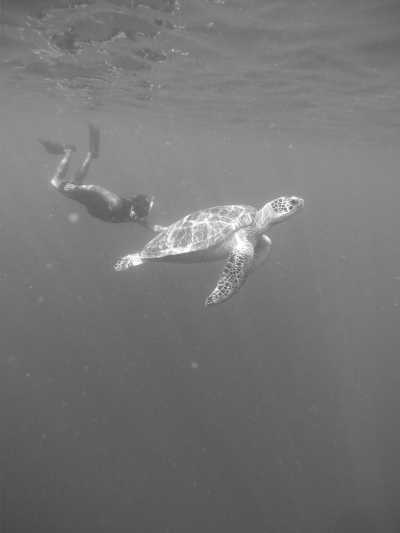 Indonesien - Gili Trawangan - Discover the Paradise of the Gilis: Gili Trawangan, Gili Air, and Gili Meno - Lombok to Bali Adventure - 4