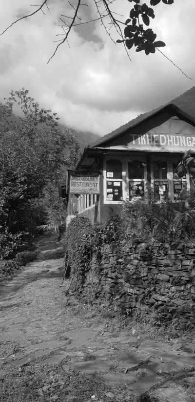 Nepal - Tadapani - Enchanting Nepal: Trekking, Tea Houses & Cultural Escapes