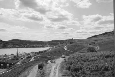 Germany - Rüdesheim am Rhein - Exploring German Delights: Frankfurt, Heidelberg, and Düsseldorf - Uncover History, Culture, and Adventure!