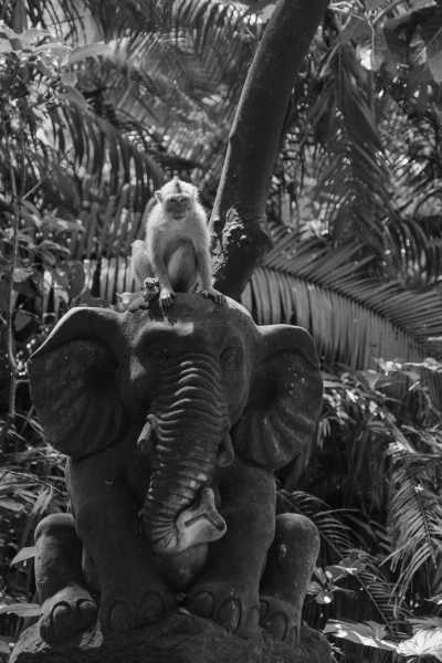 South-eastern Asia - Bali - Travel like a Local: Malaysia & Bali - 3