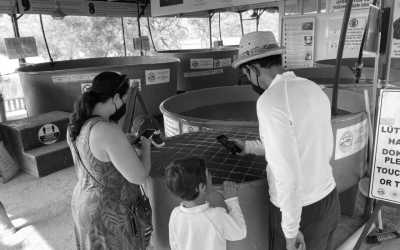 Turkey - Fethiye - Highlights of Lycia, Turkey Explore Like a Local - 3