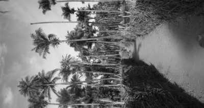 Western Africa - Buniadu - Abenteuerreise nach Afrika - Gambia 😊 - 1