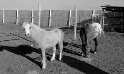 Marokko - BIO ET BOIS - Discover the Hidden Gems of Fez: A Journey Through Morocco's Cultural Capital - 2