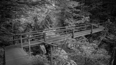 Germany - Jachenau Wasserfall - Herzogstand - Heimgarten Ridge | A Magical Experience | Walkshop Light | German Alps | - 13