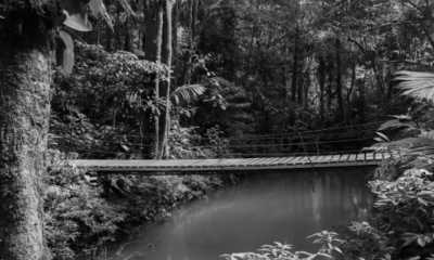 Costa Rica - Parque Nacional Volcán Tenorio - Majestic Adventures in Costa Rica: Beaches, Volcanoes, Hot Springs, Cloud Forest, and Pura Vida Lifestyle! - 7