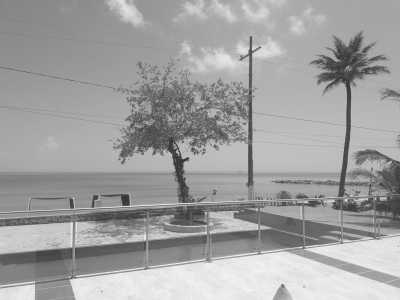 Colombia - San Antero - Experience the Paradise of Colombia's Caribbean Coast on a Remarkable 30-Day Working Trip: Tolú, Playa El Francés, Coveñas, Isla Palma, Ciénaga la Caimanera and Cistapá Cay - 2