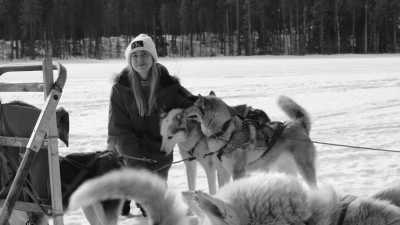 Schweden - Umeå - Sled Dog Tour and Northern Lights in Sweden! - 1