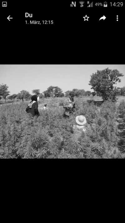 Westafrica - Gambia - Abenteuerreise nach Afrika - Gambia 😊 - 2