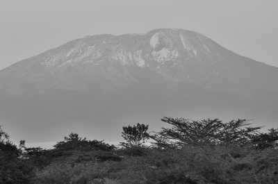 Tanzania - Kilimanjaro International Airport - Tanzania Wilderness – Unique Experience – ALL INCLUSIVE - 4